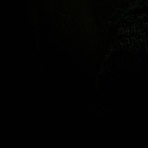 Meet your Posher, Ahlam